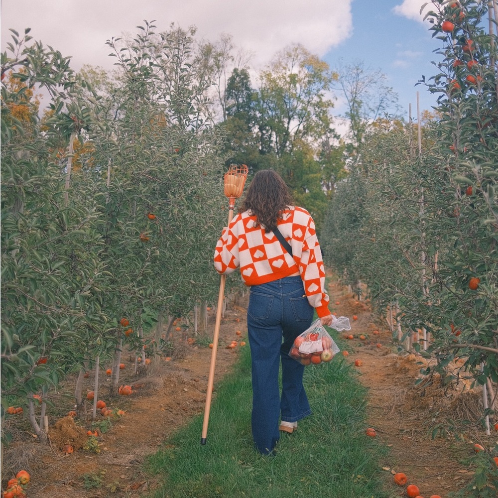 Meet your Posher, Lexy